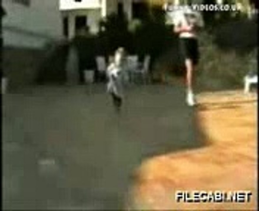 AMAZING CAT best video