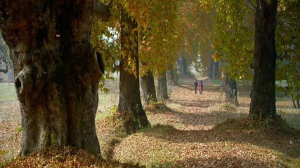 Haider (2015) Hindi Movie Watch Online Part2