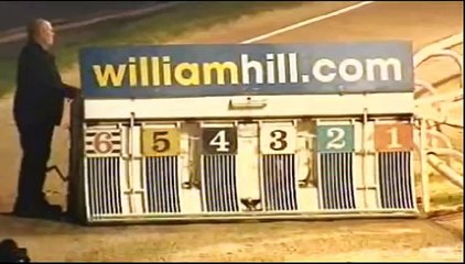 Bad Moon Rising - Derby Trial Div H - Wimbledon