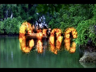 top 10 filmes de animais