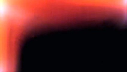 2010 Miss Reef Calendar