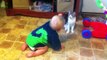 Kittens and Babies Playing Together Compilation 2014 [NEW HD]