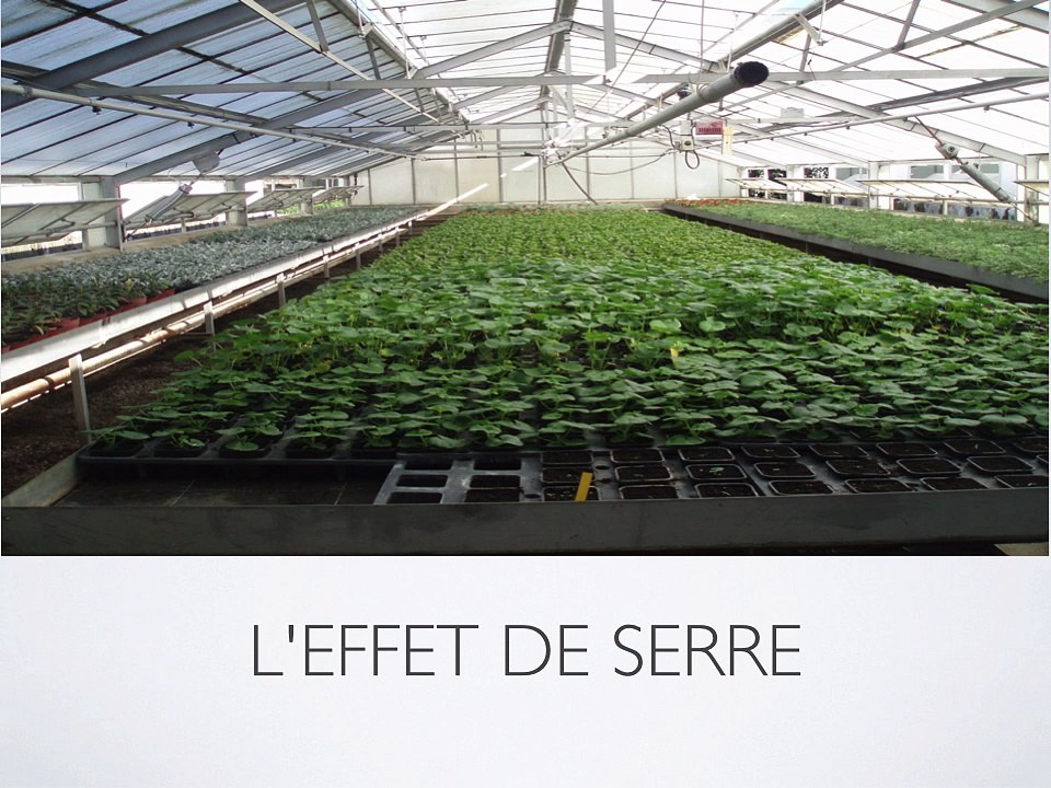 Développement Durable