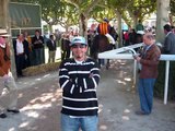 caballos en el Hipodromo de La Zarzuela