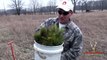 Planting Bareroot Tree Seedlings - Pitlolly Pines