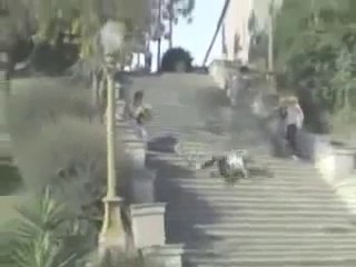 OMG!!! Longest Fall Down Stairs Ever