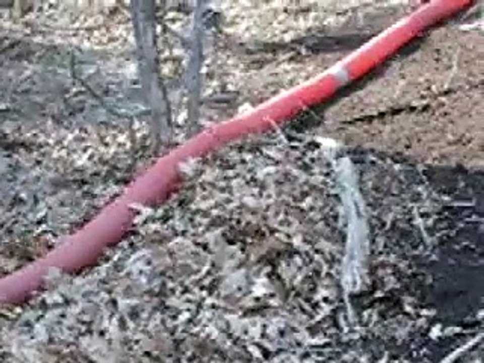 Throbbing Red Tube
