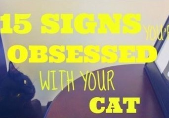 15 Signs You're Obsessed With Your Cat