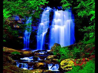 دعاء ليلة القدر للشيخ علي حسن  في  Bergamo ايطاليا 2014