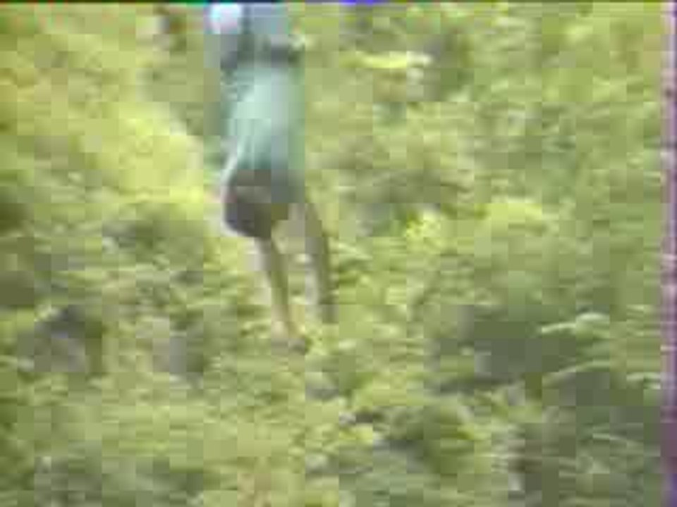 PONT NAPOLEON 2EME SAUTS