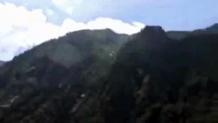 Un caballo mutante es encontrado en el bosque | Canal Viral