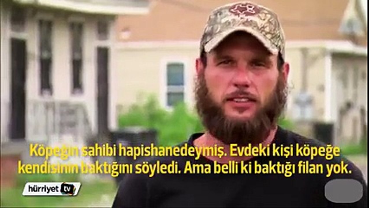 Anne köpek ve yavrularının kurtarılma hikayesi...