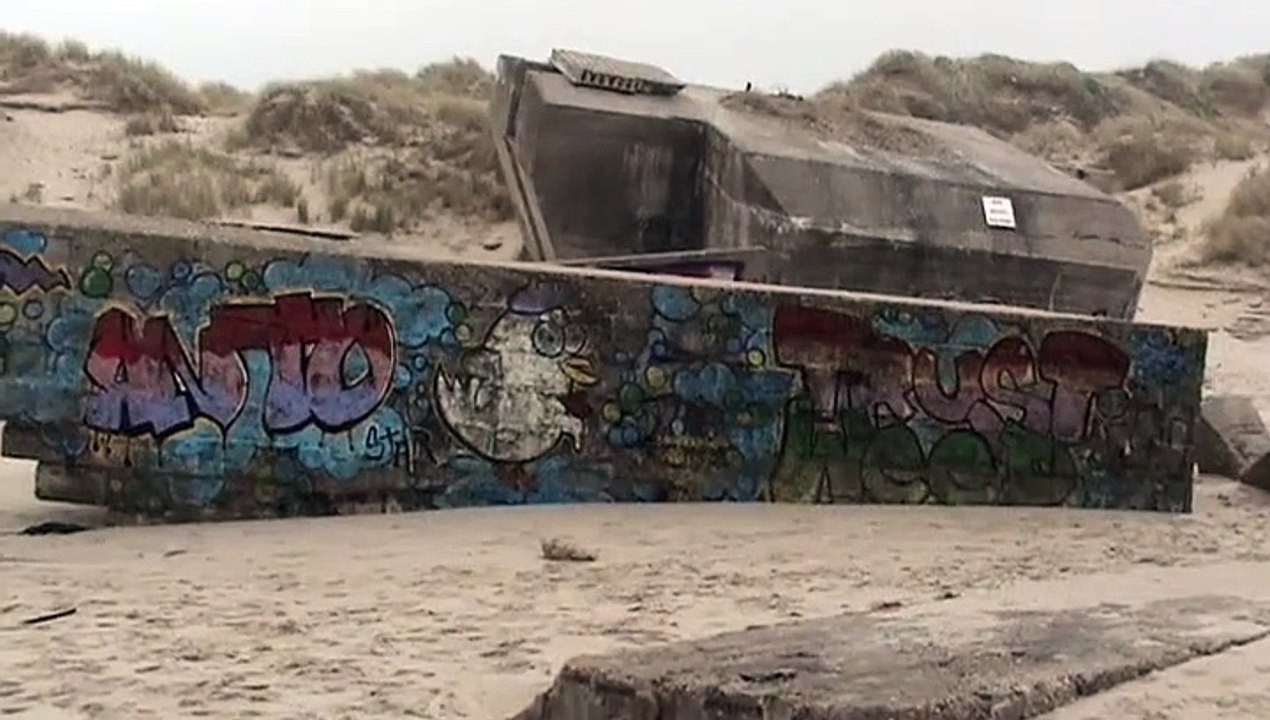 Art Pictural sur Blockhaus