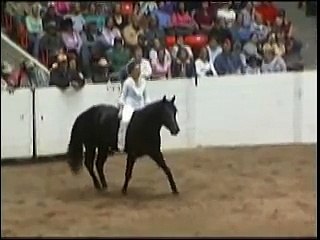 Stacy Westfall Bareback and Bridleless thoughts