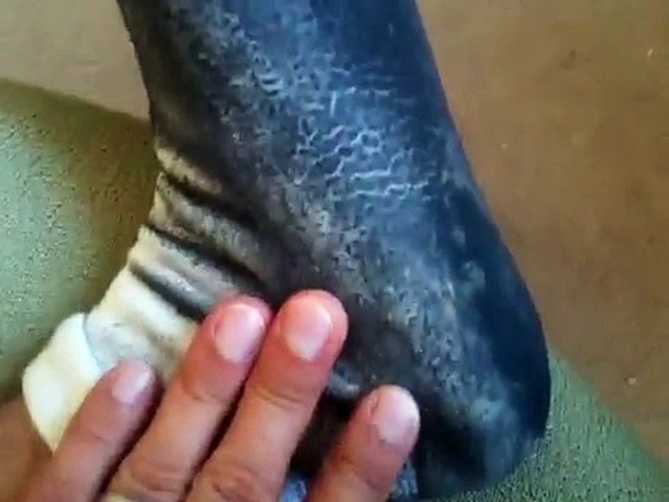 Homemade barefoot running "shoes"