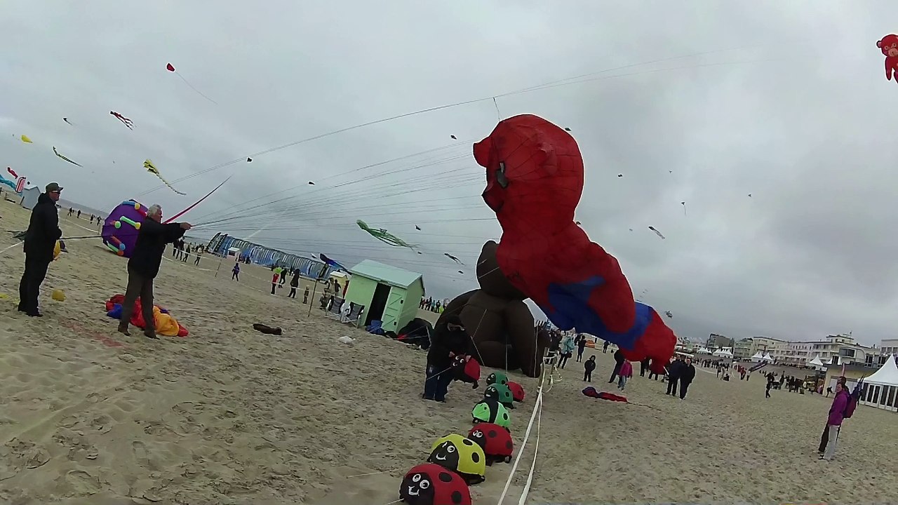 VID00416