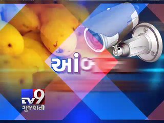 Farmers install CCTV camera to combat 'Mango Thefts' - Tv9 Gujarati