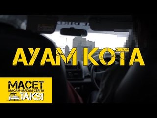 AYAM KOTA - Macam-macam Cerita Taksi