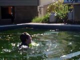 Foul mouthed girl gets pushed in NASTY pool.