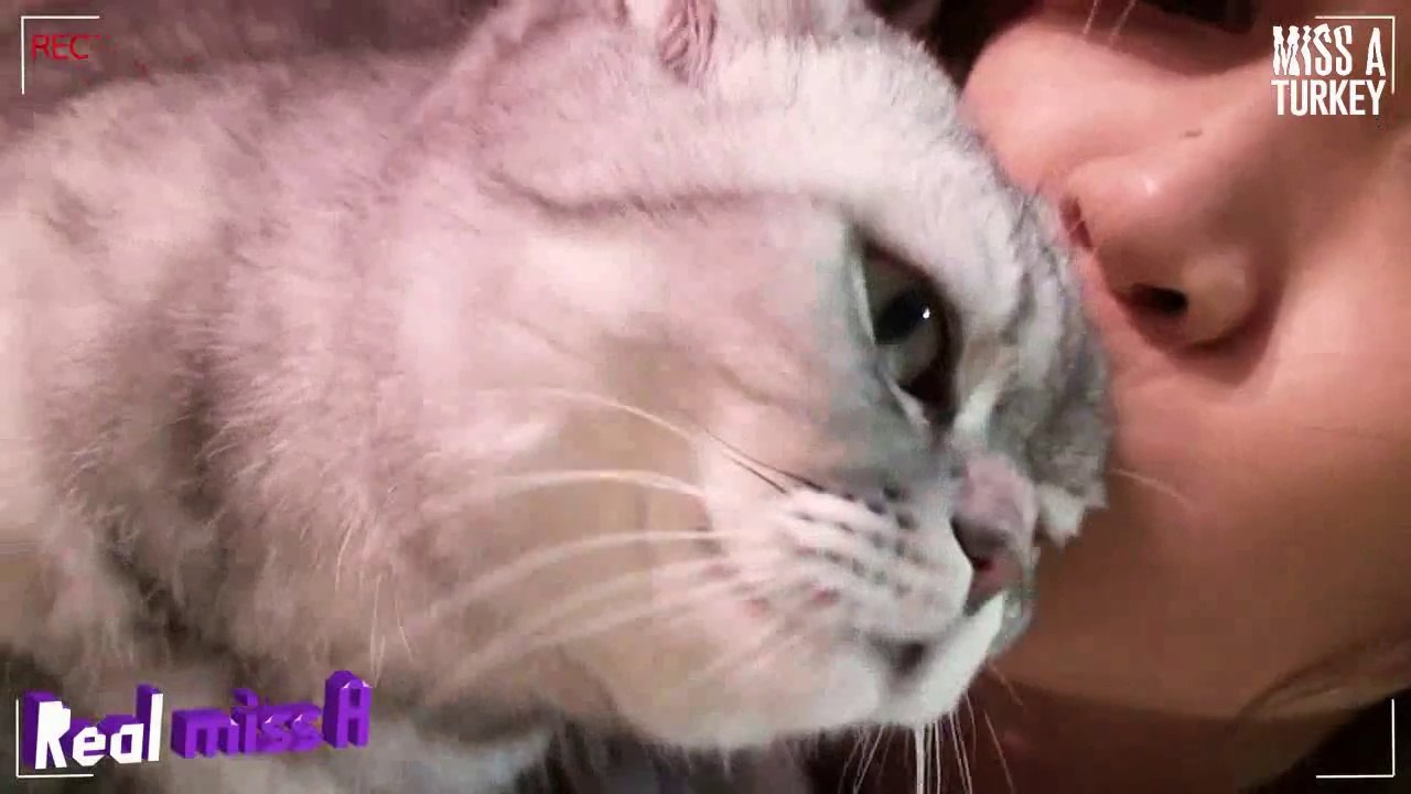 [Türkçe Altyazılı] Real miss A 9. Bölüm