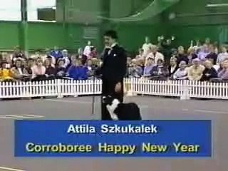 Charlie Chaplin dog dance