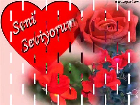 Seni Cok Seviyorum Askim