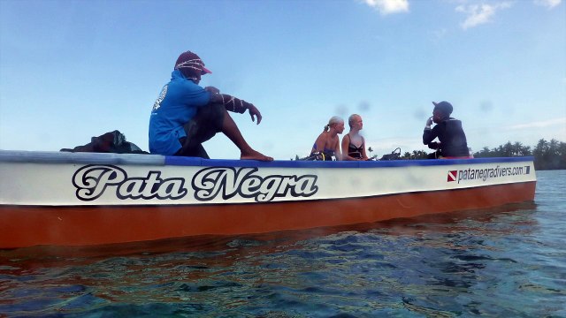 Discover Scuba Diving Panglao Bohol