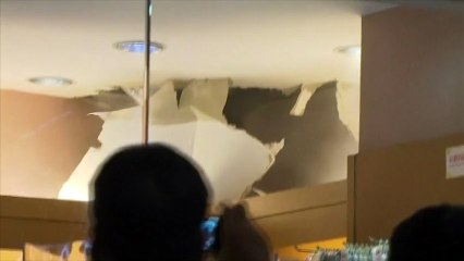 Un sanglier surgit du faux plafond d'un magasin de vêtements pour enfants