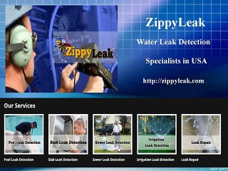 Water Leak Detection Palm Springs CA | 442-222-5644 | ZippyLeak