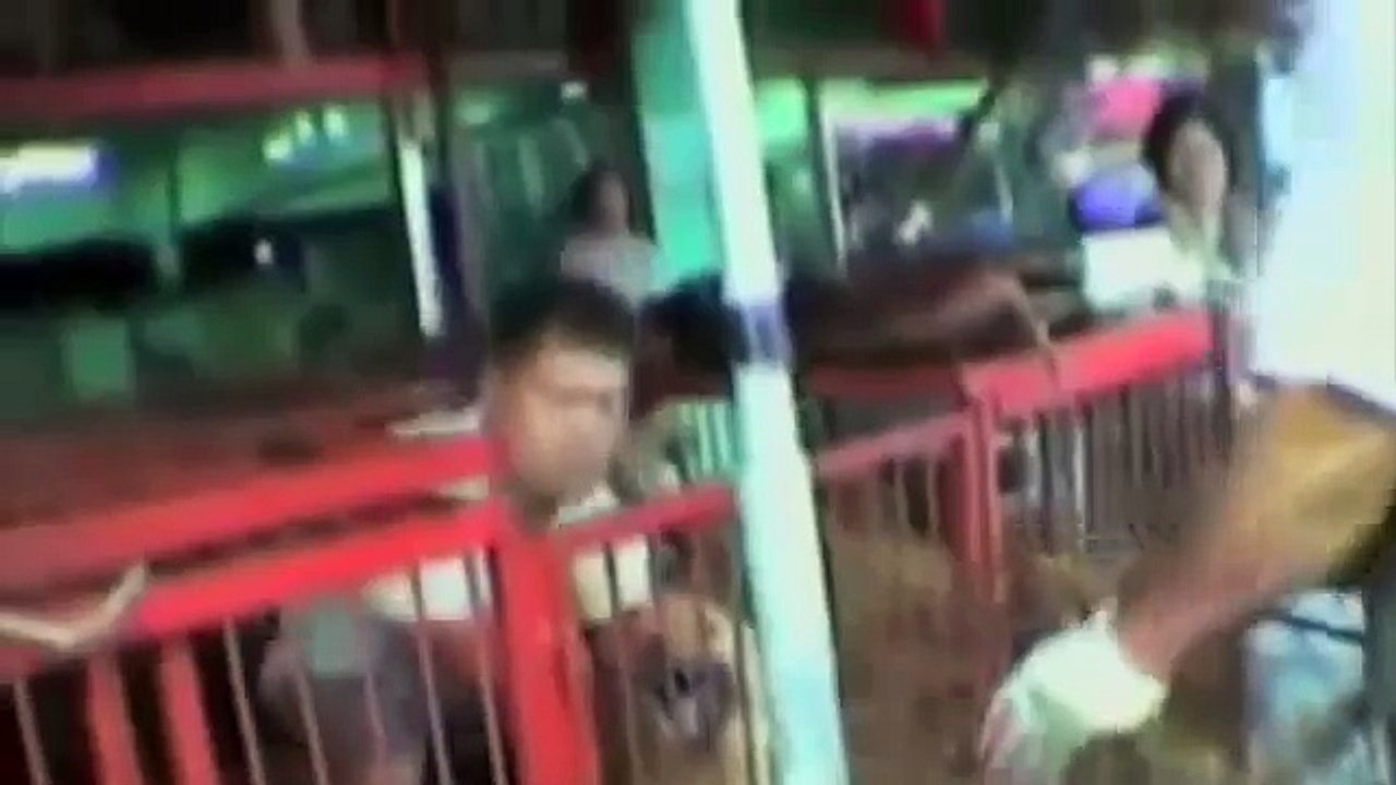 South Korea And China Dog Slaughtering And Dog Fur Trade WARNING GRAPHIC