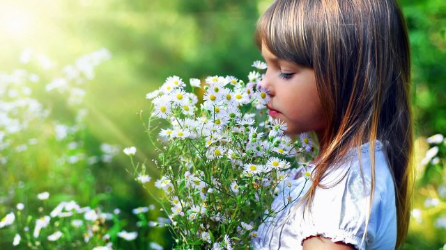 Where have all the flowers gone ,花は何処へ行った（自作カラオケ付き）ｂｙオオヌキ