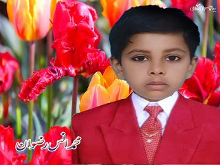 Muhammad Ans Rizwan is receiving Medal on his best performance