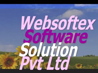 Hotel Software, Cab Booking Software, Salary Software, Printer Software, NBFC Software