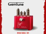 GemTune Mini 2013 Amplifier Driver tubes - 6J1 Power tubes - 6P1 Really Cute by Gemini Doctor