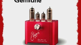 GemTune Mini 2013 Amplifier Driver tubes - 6J1 Power tubes - 6P1 Really Cute by Gemini Doctor