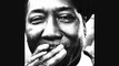 muddy waters -- mississippi delta blues