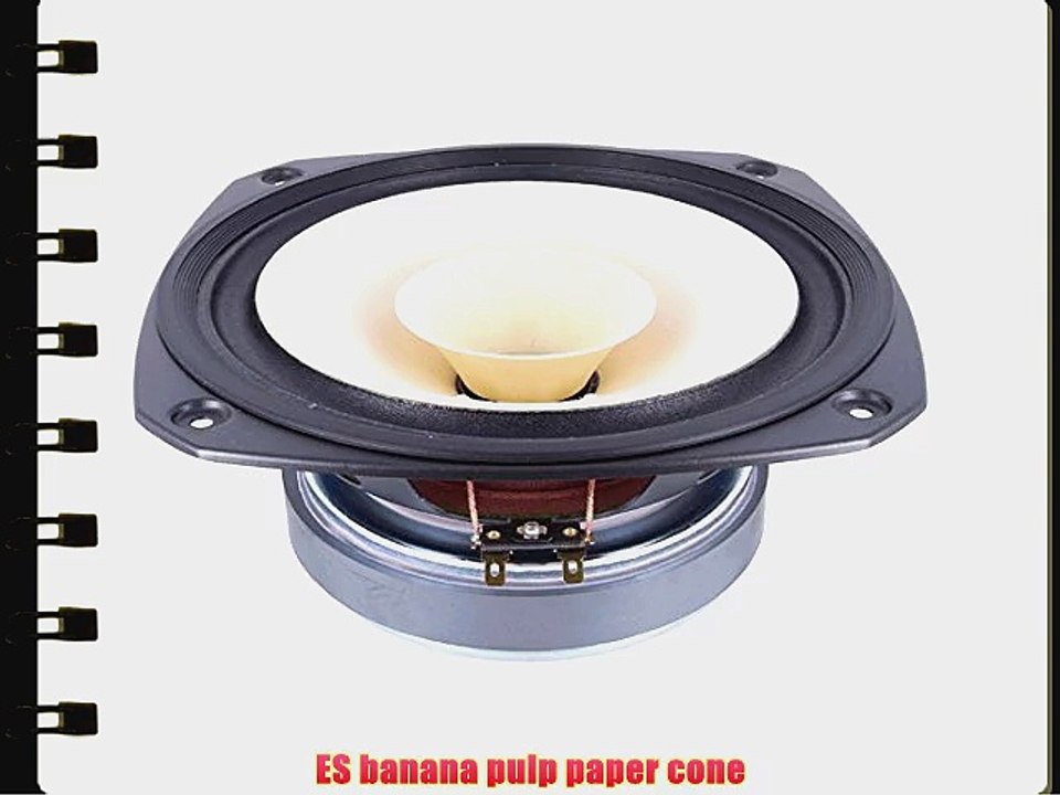 Fostex FE206En 8 Full Range Speaker