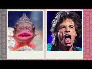 Katy Perry dando fora em Mick Jagger?