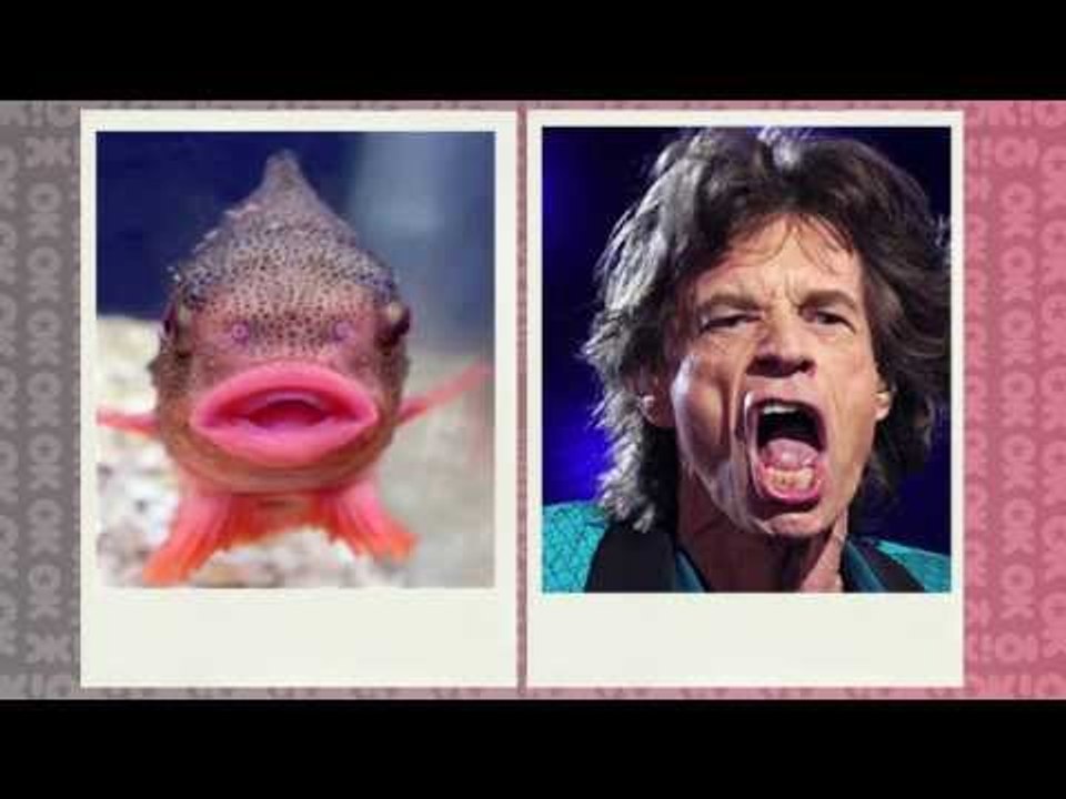 Katy Perry dando fora em Mick Jagger?