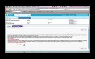 Salesforce Flow (Visual Workflow) Call Script Demo