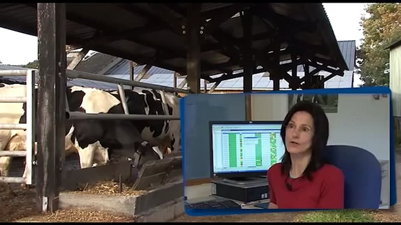 Robot de traite DeLaval, des résultats spectaculaires !