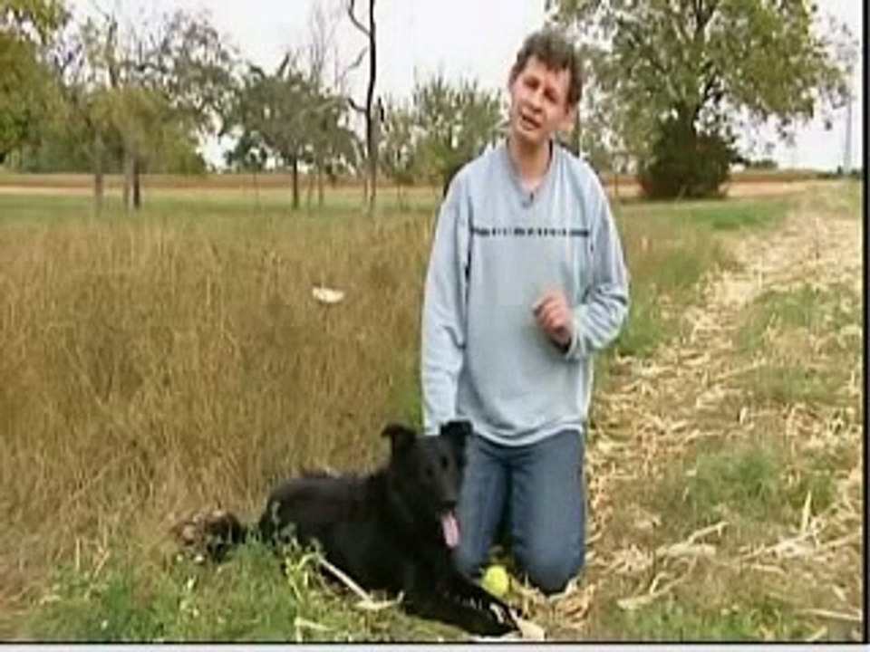 GEZ - Wahnsinn - Hund Bianca soll bezahlen