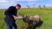 Stephen Fry Bottle Feeds A Cute Baby Rhino - Last Chance to See: Return Of The Rhino - BBC Two