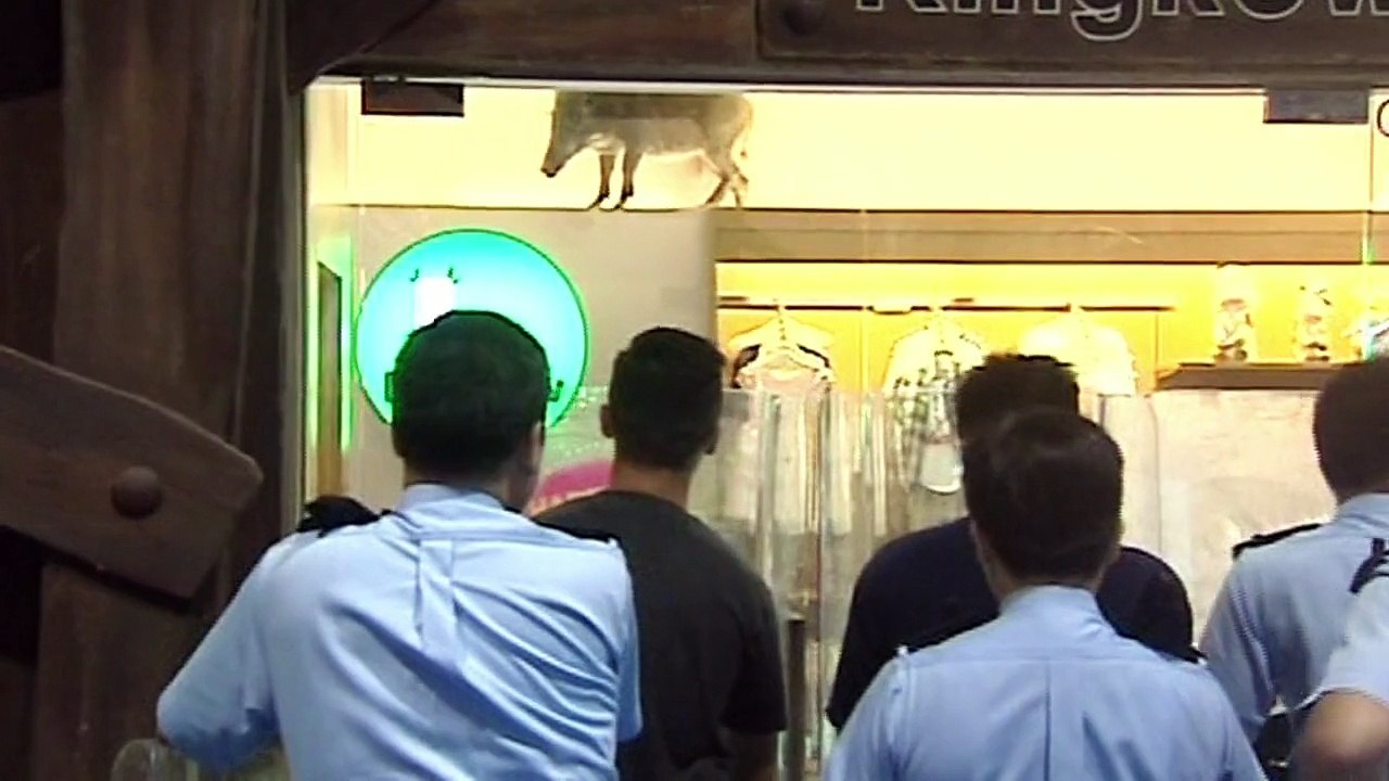 Wildschweinalarm im Einkaufszentrum