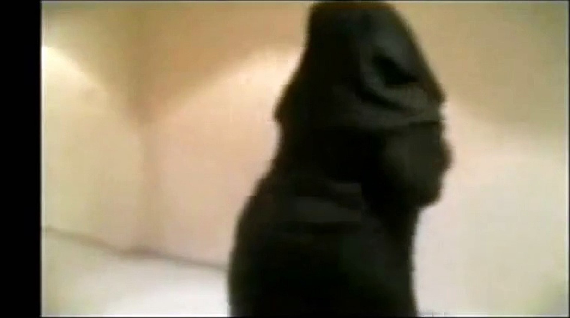 رقص معلاية خليجى رقص منازل مصري دلع بنات كيك - Vidéo Dailymotion