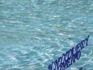 Δεν έκανα ταξίδια μακρινά