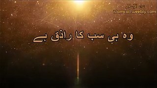 Allah hi Sub ka Razik he | Maulana Tariq Jameel