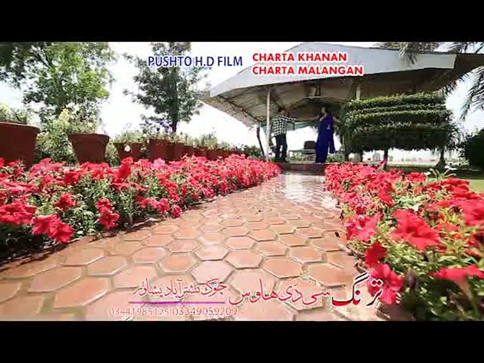 Pashto HD film | Charta Khanan Charta Malangan | song Singa Chi Zan Khog Dy Dasi Janan Khog Dy | Laila Khan