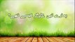 Hamare Nabi (S.A.W) kese the ? | Maulana Tariq Jameel