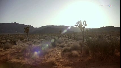 2014 Porsche 911 Turbo S Cabriolet www.rentacarss.com Farkıyla